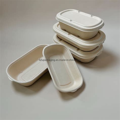 Bagasse Container Price & Voucher May 2025 .